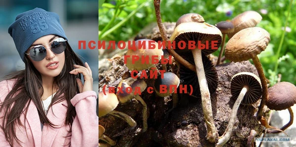 прущий лед Нефтекумск