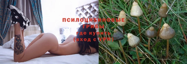 эйфоретик Нея