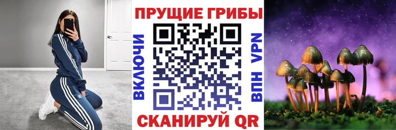 гидра рабочий сайт  наркошоп  Рязань  Галлюциногенные грибы ЛСД 